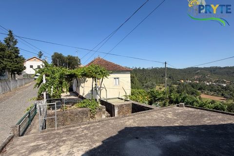 Gård i Serta, Castelo Branco, Serta - € 175 000 | Ref: MG177 - foto 35