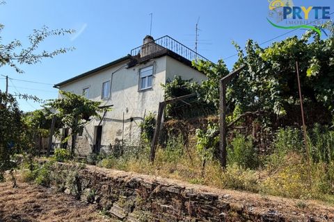 Gård i Serta, Castelo Branco, Serta - € 175 000 | Ref: MG177 - foto 41