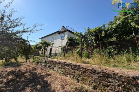 Gård i Serta, Castelo Branco, Serta - € 175 000 | Ref: MG177 - foto 42