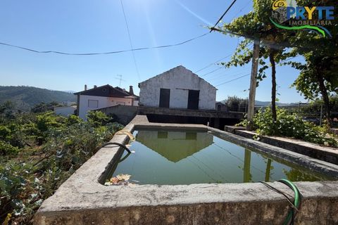 Gård i Serta, Castelo Branco, Serta - € 175 000 | Ref: MG177 - foto 43