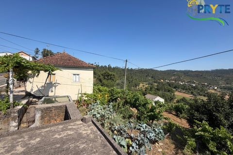 Gård i Serta, Castelo Branco, Serta - € 175 000 | Ref: MG177 - foto 44