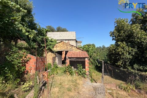 Gård i Serta, Castelo Branco, Serta - € 175 000 | Ref: MG177 - foto 45
