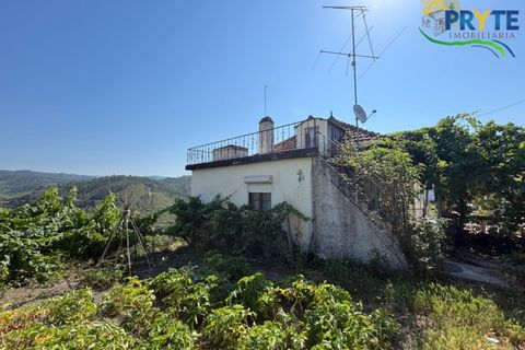 Gård i Serta, Castelo Branco, Serta - € 175 000 | Ref: MG177 - foto 46