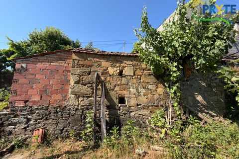 Gård i Serta, Castelo Branco, Serta - € 175 000 | Ref: MG177 - foto 47