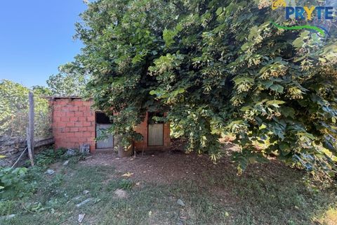 Gård i Serta, Castelo Branco, Serta - € 175 000 | Ref: MG177 - foto 48