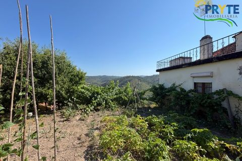 Gård i Serta, Castelo Branco, Serta - € 175 000 | Ref: MG177 - foto 49