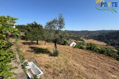 Gård i Serta, Castelo Branco, Serta - € 175 000 | Ref: MG177 - foto 50