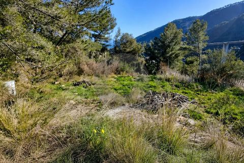 Terreno en Gorbio, Alpes-Maritimes, Gorbio - € 299.000 | Ref: D15899 - photo 1