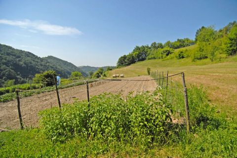 Villa a Bonvicino, Cuneo, Bonvicino - € 360.000 | Ref: BVC001 - foto 22