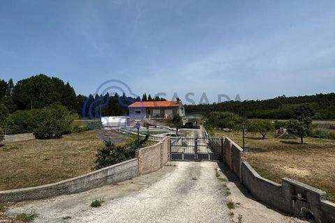 Byhus i Oliveira do Bairro, Aveiro, Oliveira do Bairro - € 330.000 | Ref: 1127831 - foto 8