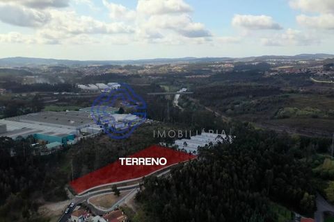 Helårsgrund i Santo Tirso, Porto, Santo Tirso - € 172.525 | Ref: 1133441 - foto 10
