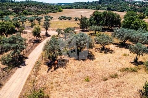 Farm hus i Penamacor, Castelo Branco, Penamacor - € 299.000 | Ref: H791 - foto 40