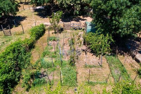 Farm hus i Penamacor, Castelo Branco, Penamacor - € 299.000 | Ref: H791 - foto 41