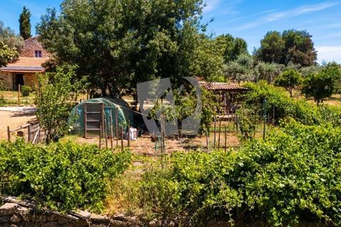 Farm hus i Penamacor, Castelo Branco, Penamacor - € 299.000 | Ref: H791 - foto 42