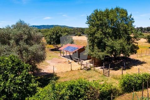 Farm hus i Penamacor, Castelo Branco, Penamacor - € 299.000 | Ref: H791 - foto 43