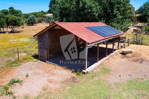 Farm hus i Penamacor, Castelo Branco, Penamacor - € 299.000 | Ref: H791 - foto 44