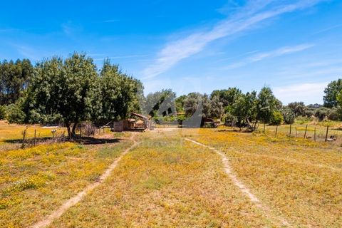 Farm hus i Penamacor, Castelo Branco, Penamacor - € 299.000 | Ref: H791 - foto 45