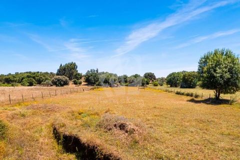 Farm hus i Penamacor, Castelo Branco, Penamacor - € 299.000 | Ref: H791 - foto 46