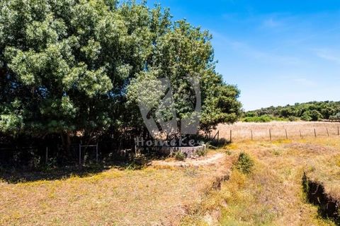 Farm hus i Penamacor, Castelo Branco, Penamacor - € 299.000 | Ref: H791 - foto 47