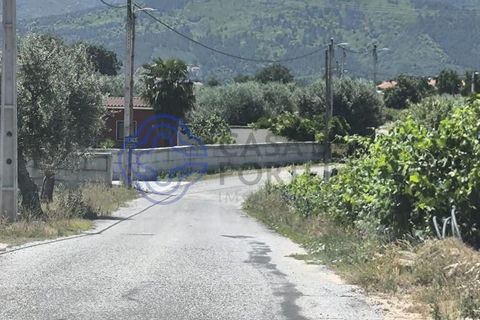 Helårsgrund i Fundao, Castelo Branco, Fundao - € 78.000 | Ref: 1132981 - foto 2