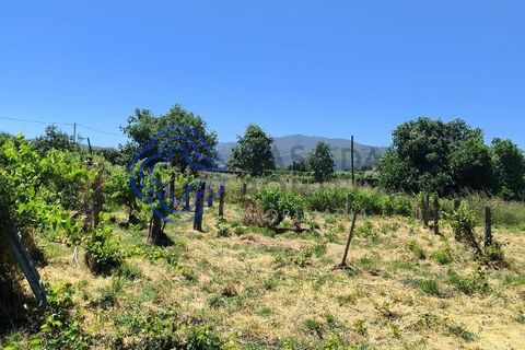 Helårsgrund i Fundao, Castelo Branco, Fundao - € 78.000 | Ref: 1132981 - foto 3