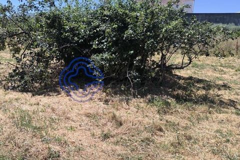 Helårsgrund i Fundao, Castelo Branco, Fundao - € 78.000 | Ref: 1132981 - foto 5