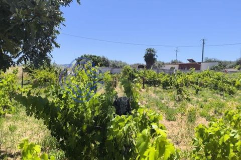 Helårsgrund i Fundao, Castelo Branco, Fundao - € 78.000 | Ref: 1132981 - foto 12