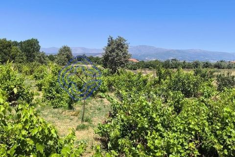 Helårsgrund i Fundao, Castelo Branco, Fundao - € 78.000 | Ref: 1132981 - foto 14