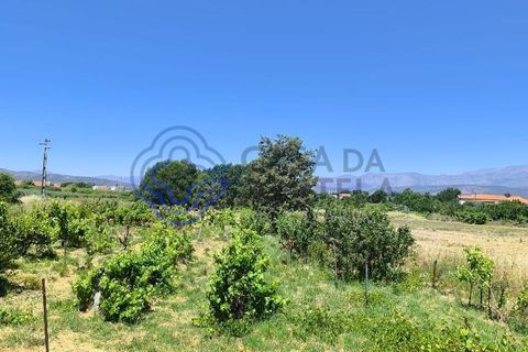 Helårsgrund i Fundao, Castelo Branco, Fundao - € 78.000 | Ref: 1132981 - foto 19