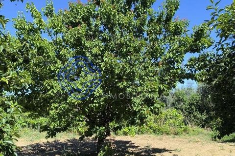 Helårsgrund i Fundao, Castelo Branco, Fundao - € 78.000 | Ref: 1132981 - foto 24
