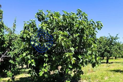 Helårsgrund i Fundao, Castelo Branco, Fundao - € 78.000 | Ref: 1132981 - foto 27