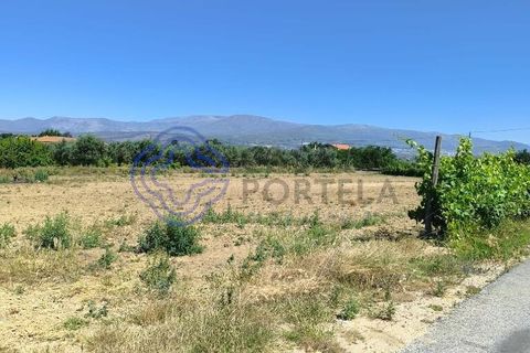 Helårsgrund i Fundao, Castelo Branco, Fundao - € 78.000 | Ref: 1132981 - foto 31