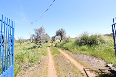 Gård i Elvas, Portalegre, Elvas - € 395 000 | Ref: 3TC4397 - foto 4