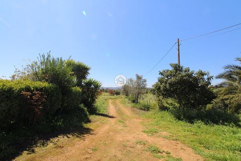 Gård i Elvas, Portalegre, Elvas - € 395 000 | Ref: 3TC4397 - foto 33