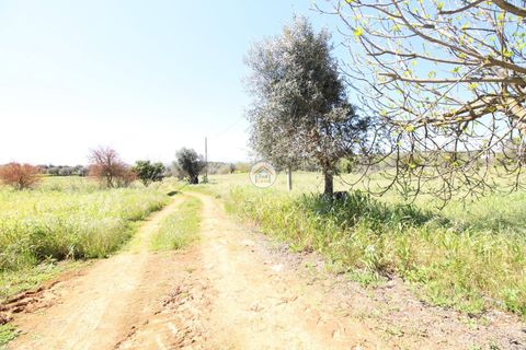 Gård i Elvas, Portalegre, Elvas - € 395 000 | Ref: 3TC4397 - foto 41