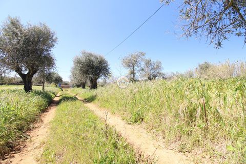 Gård i Elvas, Portalegre, Elvas - € 395 000 | Ref: 3TC4397 - foto 42
