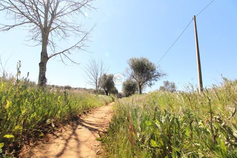 Gård i Elvas, Portalegre, Elvas - € 395 000 | Ref: 3TC4397 - foto 45