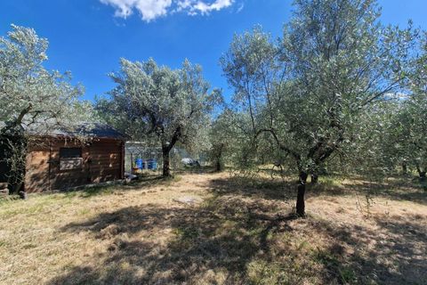 Villa em Amelia, Terni, Amelia - € 180.000 | Ref: Porchiano50-1372932 - foto 5