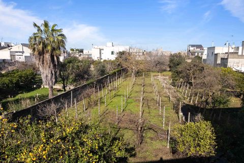 Villa a Sogliano Cavour, Lecce, Sogliano Cavour - € 320.000 | Ref: 2279-1373278 - foto 17