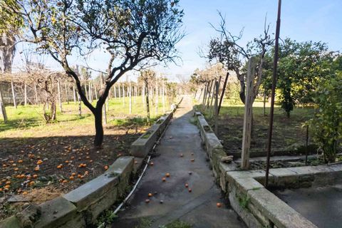 Villa a Sogliano Cavour, Lecce, Sogliano Cavour - € 320.000 | Ref: 2279-1373278 - foto 26
