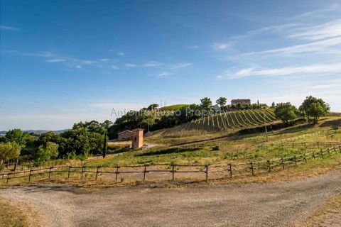 Villa i Saturnia, Grosseto, Saturnia - € 2.200.000 | Ref: R55-1376177 - foto 1