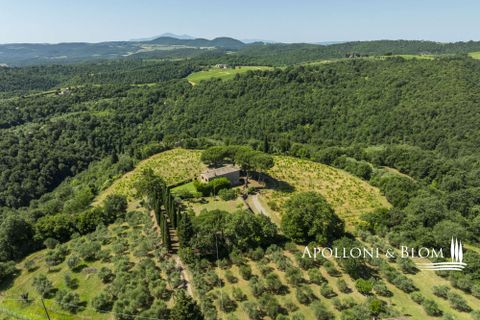 Casa de campo en Sinalunga, Siena, Sinalunga - € 980.000 | Ref: SIN3654-1376455 - photo 1