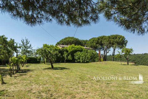 Casa de campo en Sinalunga, Siena, Sinalunga - € 980.000 | Ref: SIN3654-1376455 - photo 27