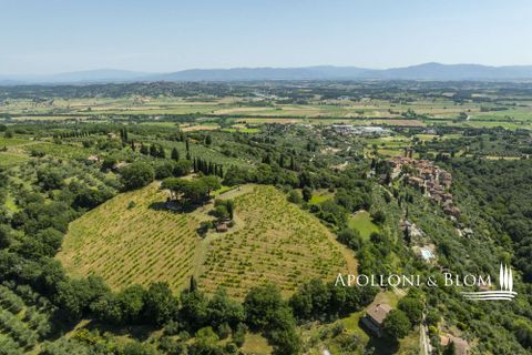 Casa de campo en Sinalunga, Siena, Sinalunga - € 980.000 | Ref: SIN3654-1376455 - photo 36