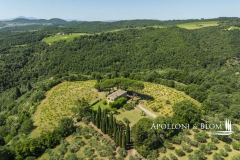Casa de campo en Sinalunga, Siena, Sinalunga - € 980.000 | Ref: SIN3654-1376455 - photo 37