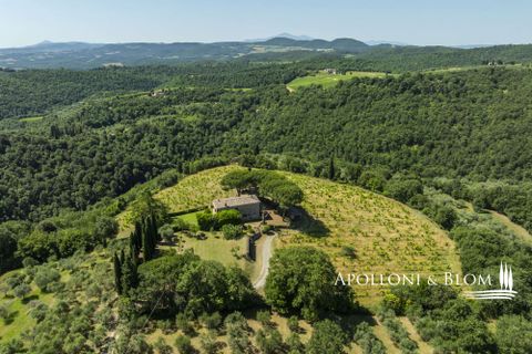 Casa de campo en Sinalunga, Siena, Sinalunga - € 980.000 | Ref: SIN3654-1376455 - photo 38