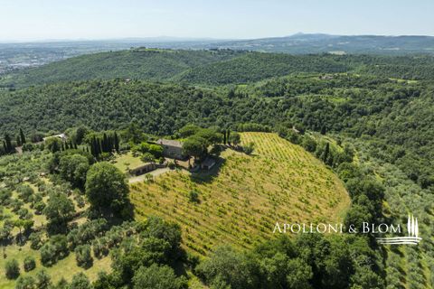Casa de campo en Sinalunga, Siena, Sinalunga - € 980.000 | Ref: SIN3654-1376455 - photo 39