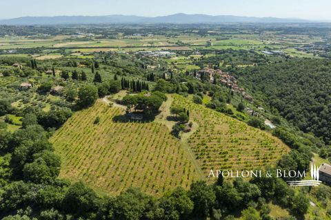 Casa de campo en Sinalunga, Siena, Sinalunga - € 980.000 | Ref: SIN3654-1376455 - photo 40