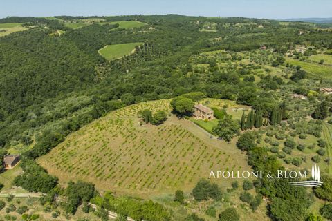Casa de campo en Sinalunga, Siena, Sinalunga - € 980.000 | Ref: SIN3654-1376455 - photo 42