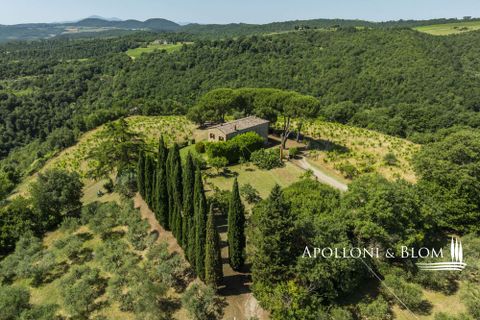 Casa de campo en Sinalunga, Siena, Sinalunga - € 980.000 | Ref: SIN3654-1376455 - photo 43